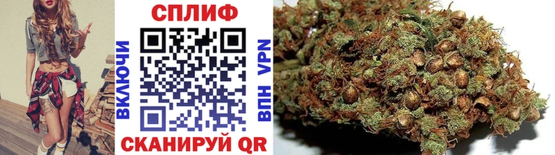 Конопля ГИДРОПОН  купить закладку  kraken зеркало  Мценск 